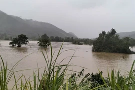 Thanh Hóa, Nghệ An, Hà Tĩnh đảm bảo an toàn đê điều ứng phó với lũ