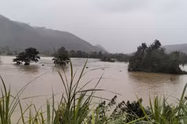 Thanh Hóa, Nghệ An, Hà Tĩnh đảm bảo an toàn đê điều ứng phó với lũ