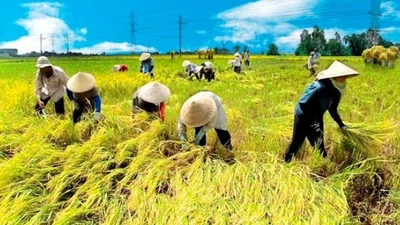 1 ngày, 7 bệnh nhân cấp cứu vì nắng nóng