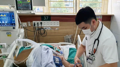 Hôn mê, ngừng tuần hoàn vì tin thầy lang chữa rắn độc cắn