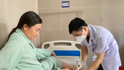 Gần 1 tháng tiếp nhận hơn 20 người bị chó cắn