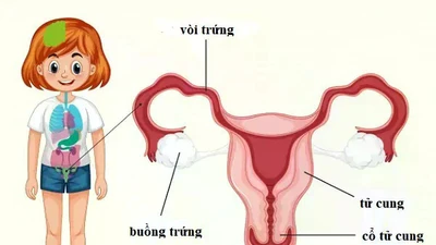 Chơi đùa té ngã, bé 12 tuổi tổn thương nghiêm trọng vùng kín