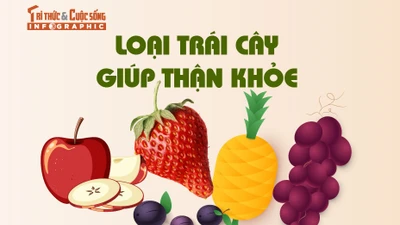 [INFOGRAPHIC] Những loại trái cây tốt nhất cho thận