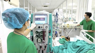 Đi bắt ngao, người đàn bà nguy kịch tính mạng vì nhiễm vi khuẩn nguy hiểm