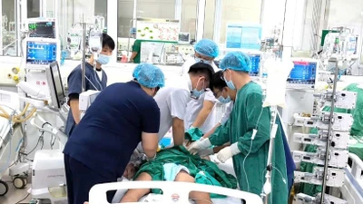Ăn tiết canh hai bệnh nhân nhiễm khuẩn huyết phải lọc máu