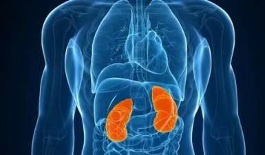 Gần 2000 ca ung thư thận mới mỗi năm, đừng để “cái bẫy thầm lặng” dình dập