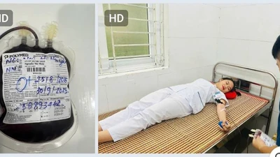 Giữa tâm bão Kajiki sự sống được giữ lại bằng những giọt máu hồng