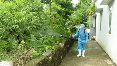 Đau khớp, đi còng lưng cẩn thận mắc bệnh Chikungunya