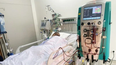 Cứu sống người bệnh suy đa tạng nguy kịch do nhiễm khuẩn Rickettsia