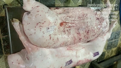 Ăn thịt lợn bệnh nguy cơ ngộ độc, nhiễm trùng huyết
