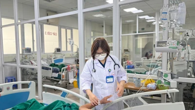  Viêm màng não nguy kịch do nhiễm nấm từ chim bồ câu 