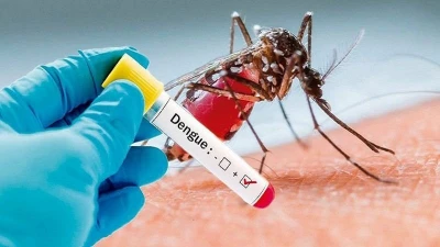 25.000 người tử vong mỗi năm vì sốt xuất huyết trên thế giới