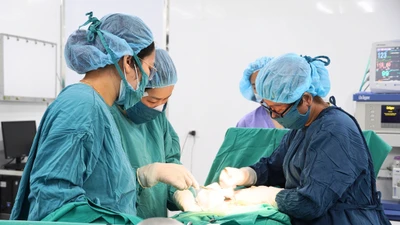 Cách để mẹ an toàn, con khỏe mạnh khi sản phụ bị rau tiền đạo trung tâm
