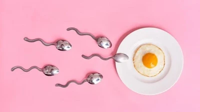 Cách tính ngày rụng trứng để thực hiện thụ thai dễ hay khó?