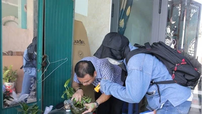 Sốt xuất huyết tăng nhanh, đẩy mạnh các hoạt động kiểm soát