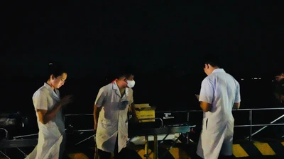 Bộ Y tế yêu cầu sẵn sàng nhân lực ứng phó với bão WIPHA