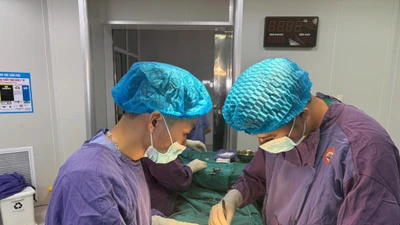 Lấy u tử cung tương đương thai 5 tháng và khối thoát vị bẹn trong 1 lần mổ