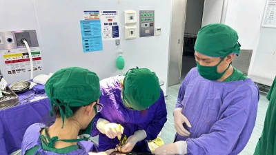 Lấy lưỡi kéo nhọn xuyên não nữ bệnh nhân