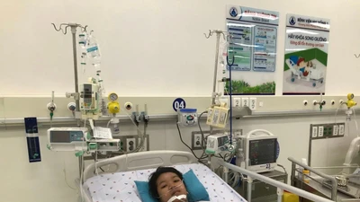 Truyền hơn 10 lít máu cứu sống bệnh nhân sốt xuất huyết