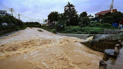 Điều cần làm để tránh dịch bệnh sau mưa bão, lũ lụt