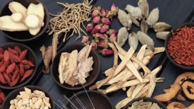 Món ăn bài thuốc phòng chữa ngứa da mùa hè