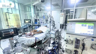 Chỉ sốt, nôn ói trẻ 8 tuổi bị viêm cơ tim tối cấp, sốc tim nguy kịch