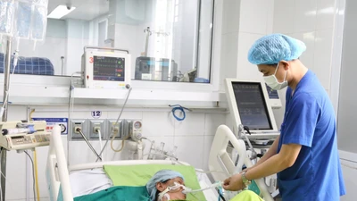 Người đàn ông 65 tuổi ngất xỉu khi làm ngoài đồng nắng