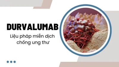 Durvalumab được dùng để điều trị ung thư bàng quang xâm lấn 