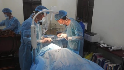 Lặn bắt cá, người đàn ông bị cá kìm tấn công đâm vào cổ
