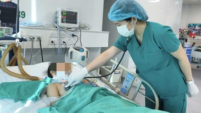 Bé 11 tuổi mắc bệnh dại từ chó nuôi trong nhà
