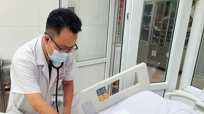 Bị cành cây đâm vào cổ tay, cụ bà 90 tuổi nguy kịch 