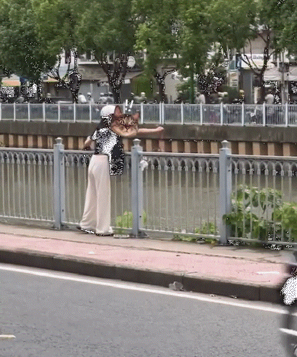 Clip co gai phong sinh cua bien thu hut 3 trieu luot xem