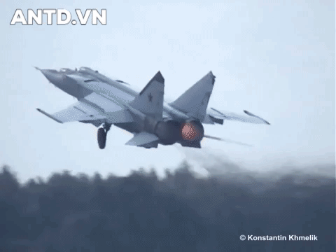 MiG-31 Foxhound có 2 động cơ loại lớn, với cửa hút khí nằm ở dưới cánh, cánh được đặt trên lưng với tỷ lệ kích cỡ là 2.94, có 2 cánh đuôi thẳng đứng.