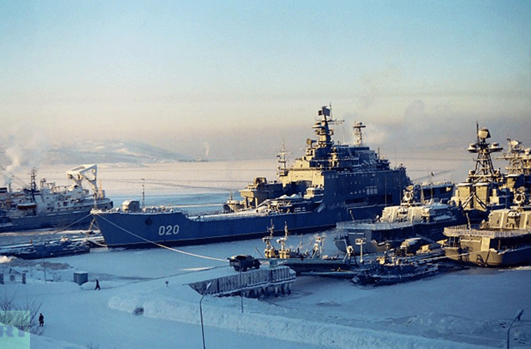 Tàu đổ bộ Ivan Rogov có thể hoạt động với vai trò tàu đổ bộ xe tăng truyền thống hoặc tàu đổ bộ trực thăng. Tuy nhiên khả năng mang theo trực thăng của nó còn hạn chế.