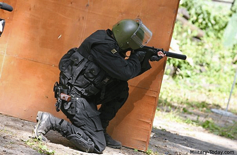 Súng trường 9A-91 sử dụng hộp tiếp đạn 9x39 mm cơ số 20 viên. Máy cò có 2 chế độ bắn phát một và liên thanh.