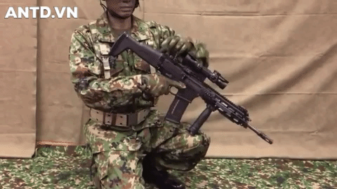 Sau các thử nghiệm khắt khe, Nhật Bản đã quyết định chọn súng trường tấn công Type-20 để trang bị cho Lực lượng Phòng vệ của mình.