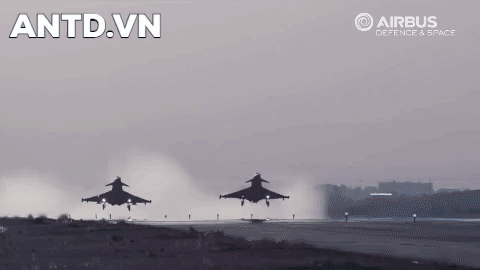 13 điểm treo trên cánh và bụng cho phép Typhoon mang theo tổng cộng khoảng 8 tấn vũ khí.