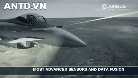 Tiêm kích EF-2000 Typhoon có chiều dài: 15,96 m; Sải cánh: 10,95 m; Cao: 5,28 m. Trọng lượng rỗng: 11.000 kg; Trọng lượng cất cánh tối đa: 23.500 kg.