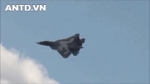 Su-57 có chiều dài 19,8m, sải cánh 13,95m, cao 4,74m, trọng lượng rỗng 18 tấn, trọng lượng cất cánh tối đa 35 tấn, tải trọng nhiên liệu 10,3 tấn.