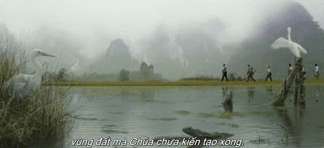 Ninh Bình xuất hiện trong Kong: Skull Island với những thung lũng bí ẩn được bao quanh bởi hệ thống núi đá vôi chằng chịt, hình ảnh đẹp mắt, hoang sơ, kích thích tò mò của khán giả về vùng đất được mệnh danh là đảo Đầu Lâu - quê hương của King Kong. Ảnh: Cắt từ video