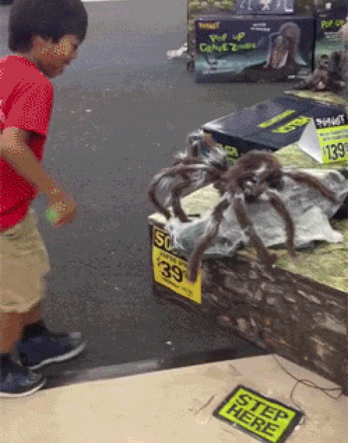 Tưởng không sợ mà sợ không tưởng.