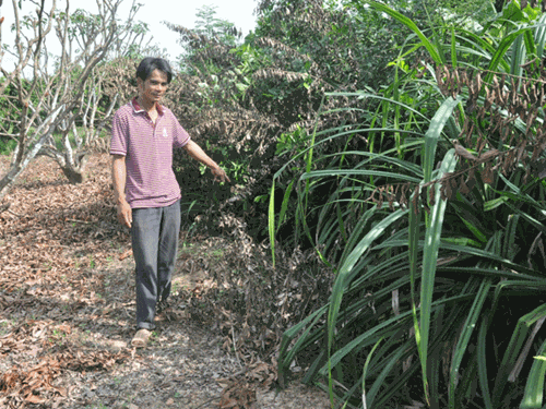 Rung ron don thoi ran khong lo bao oan o Bac Giang