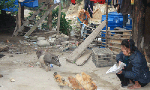 Chuyen kinh hai ve nguoi rung an hien nhu quy o Lai Chau