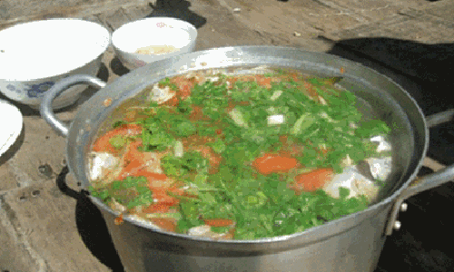 Vo pha thuoc diet co vao canh cho chong an