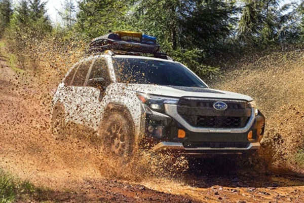 Cận cảnh Subaru Forester Wilderness 2026 - xe SUV cho dân mê offroad