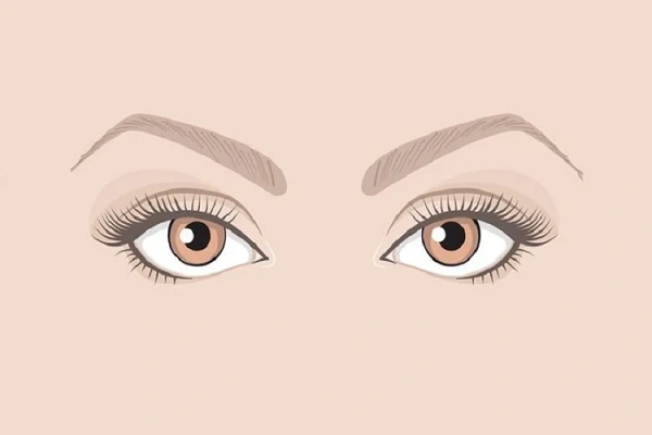 Những nét tướng mặt của kẻ gian xảo và có dã tâm lớn, đặc biệt không đáng tin cậy