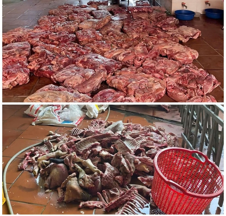 Toàn bộ số thịt lợn thối được hai chủ cơ sở thu mua về, xử lý chưa kịp đưa ra thị trường tiêu thụ thì bị phát hiện. z6877516431298-26d63f6057a2df19810323eb475caf36-224159-264-083543.jpg