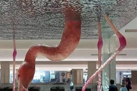 Loạt ảnh siêu thực được ghi lại khiến người nhìn sửng sốt