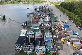 Miền Nam Trung Quốc kích hoạt ứng phó khẩn cấp với bão Matmo