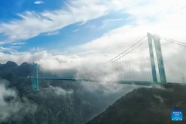 Cận cảnh cây cầu cao nhất thế giới chính thức được thông xe